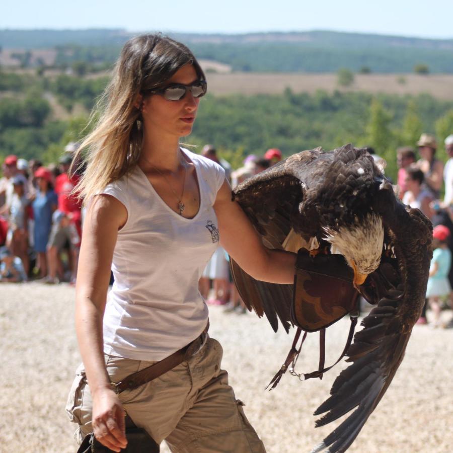 Willa Excellent Sarlat Zewnętrze zdjęcie